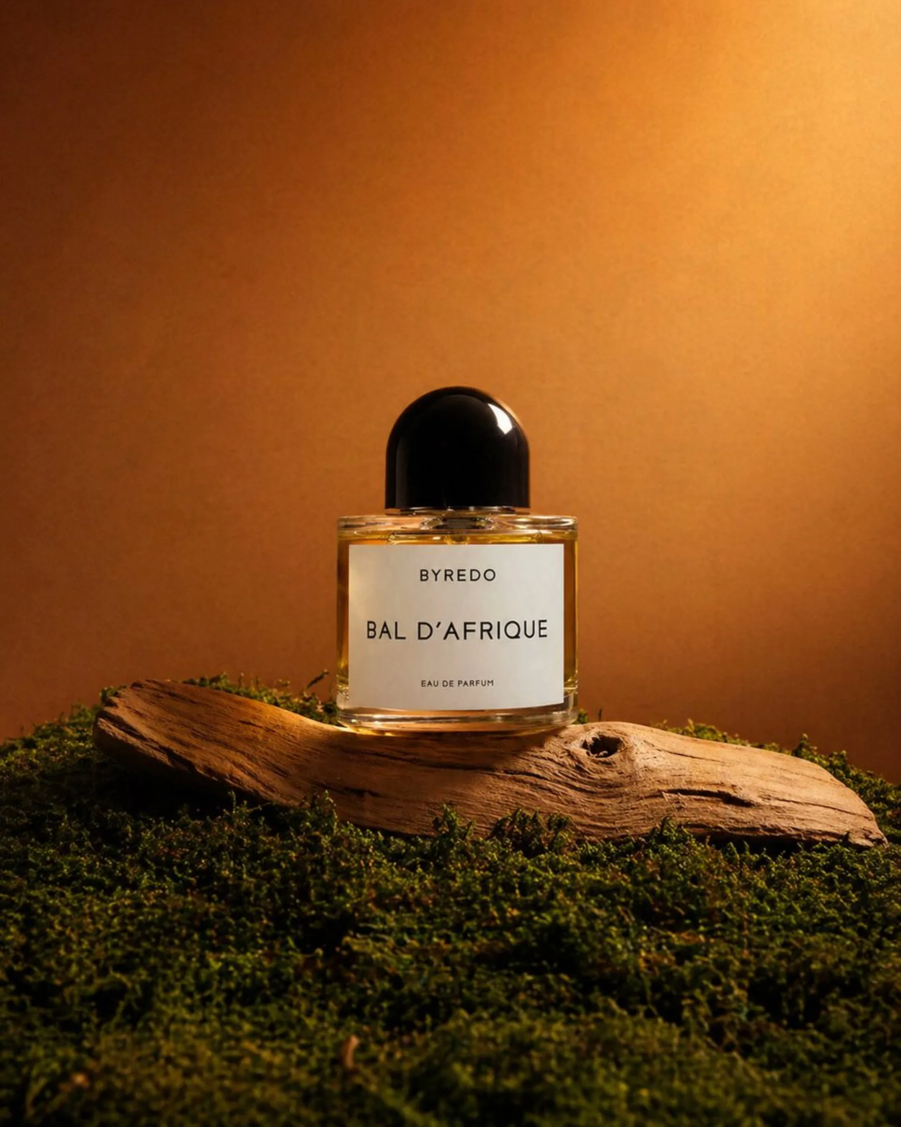 Editorial Perfume Shot on Moss example output