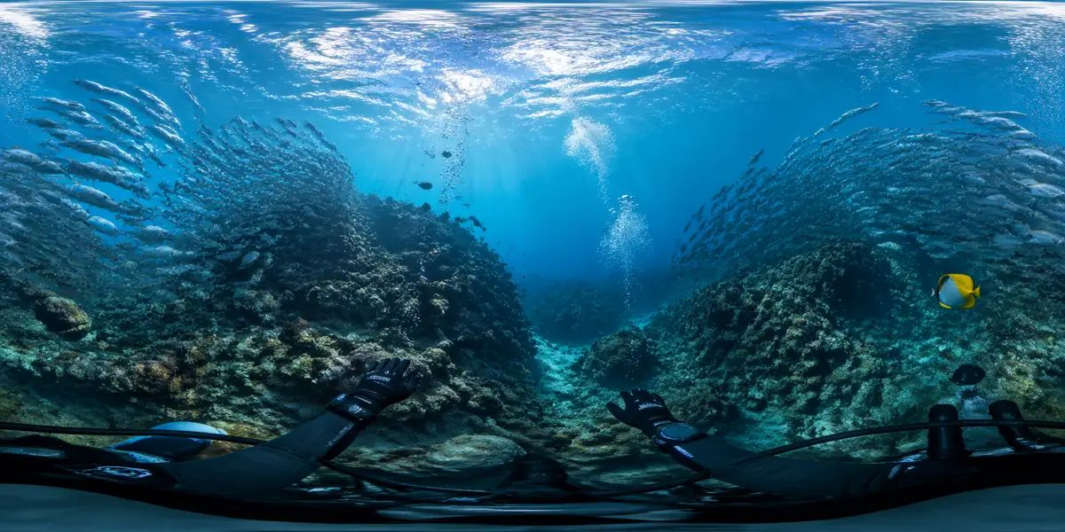 Scuba reef