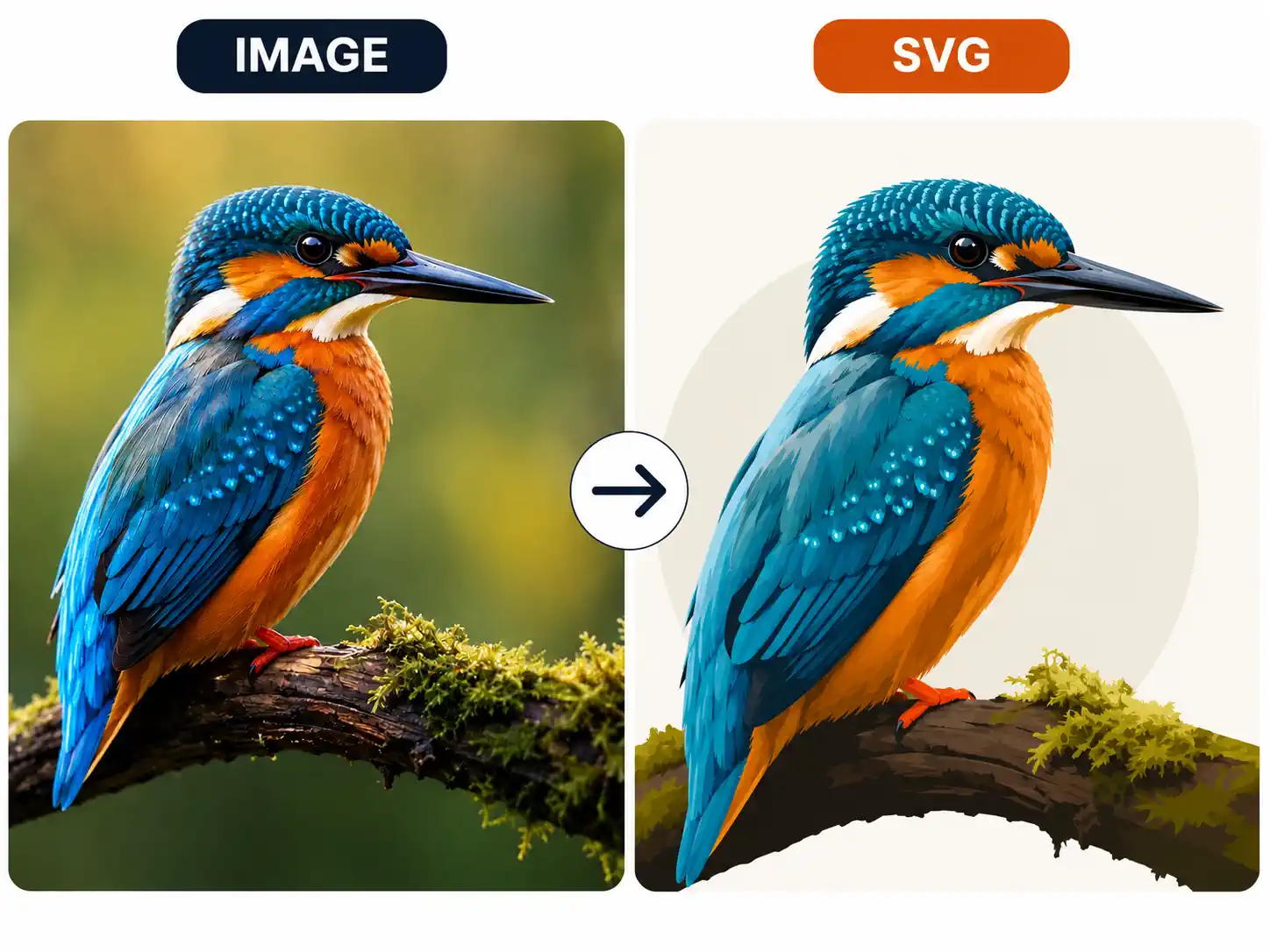 AI Image to SVG Converter sample result